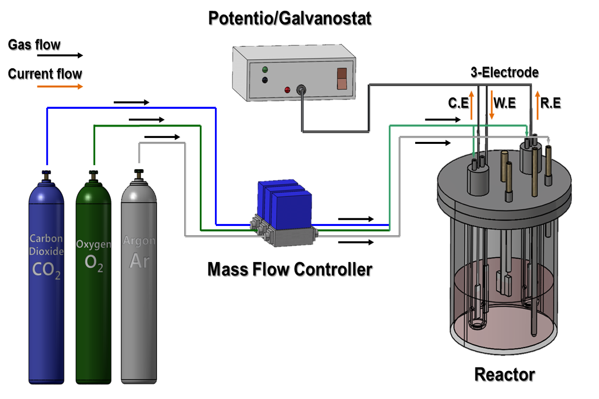 Experimental Set-up (DCFC & Electrolysis)